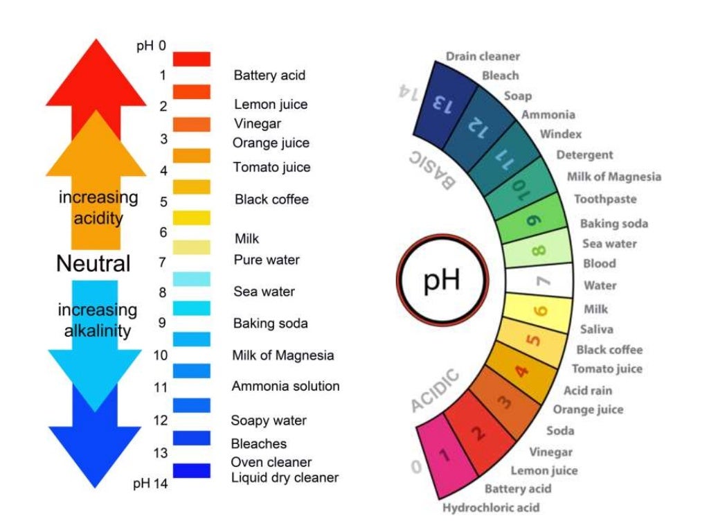 Properties of gastric juice, composition of gastric juice and functio…
