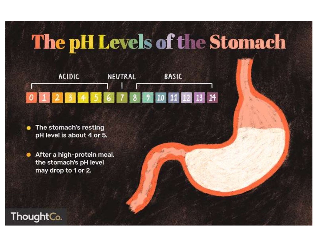 Properties of gastric juice, composition of gastric juice and functio…