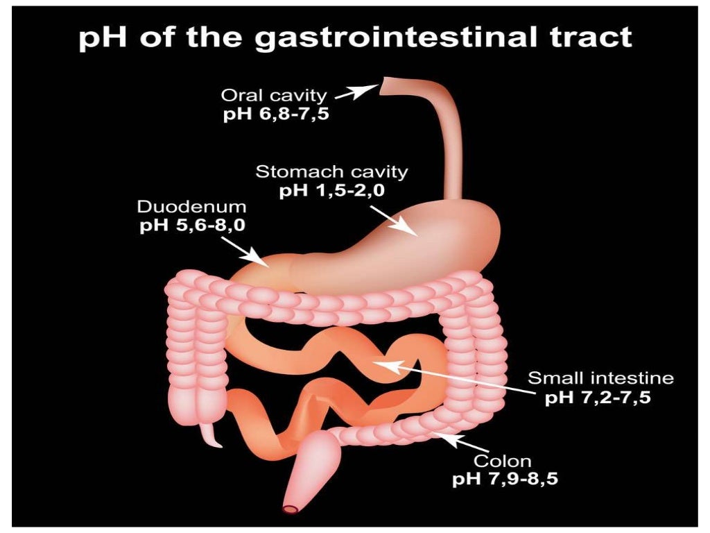 Properties of gastric juice, composition of gastric juice and functio…