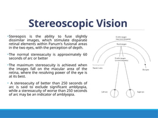 Stereoptic Process PROPERTIES OF LIGHT AND VISUAL FUNCTION.pptx