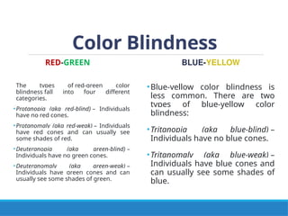 RED-GREEN
The types of red-green color
blindness fall into four different
categories.
•Protanopia (aka red-blind) – Individuals
have no red cones.
•Protanomaly (aka red-weak) – Individuals
have red cones and can usually see
some shades of red.
•Deuteranopia (aka green-blind) –
Individuals have no green cones.
•Deuteranomaly (aka green-weak) –
Individuals have green cones and can
usually see some shades of green.
BLUE-YELLOW
•Blue-yellow color blindness is
less common. There are two
types of blue-yellow color
blindness:
•Tritanopia (aka blue-blind) –
Individuals have no blue cones.
•Tritanomaly (aka blue-weak) –
Individuals have blue cones and
can usually see some shades of
blue.
Color Blindness
 