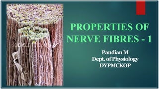 PandianM
Dept.ofPhysiology
DYPMCKOP
PROPERTIES OF
NERVE FIBRES - 1
 