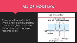 PROPERTIES OF NERVE FIBRE- NEUROLOGICAL PHYSIOLOGY | PPTX