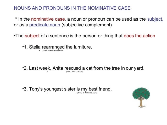 Properties Of Nouns And Pronouns
