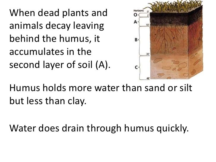 Soil And Water Facts For Kids Soil And Water Facts For Kids