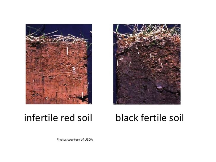 Properties of soils (teach)