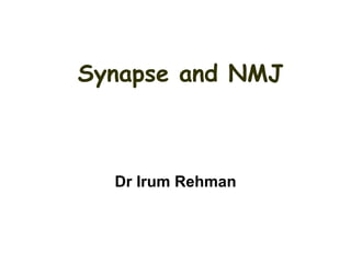 Neuromuscular junction and synapses by DR.IRUM
