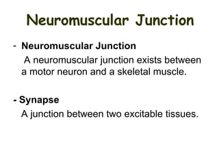 Neuromuscular junction and synapses by DR.IRUM