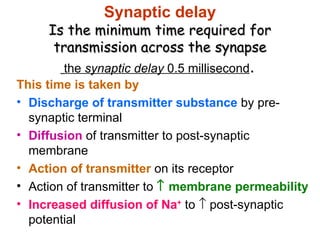 Neuromuscular junction and synapses by DR.IRUM