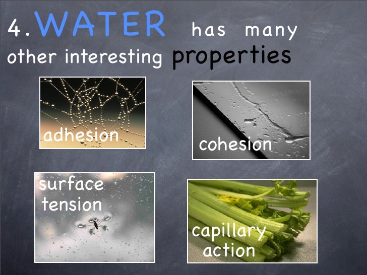 Properties Of Water
