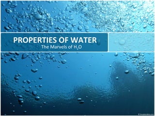 PROPERTIES OF WATER The Marvels of H 2 O 