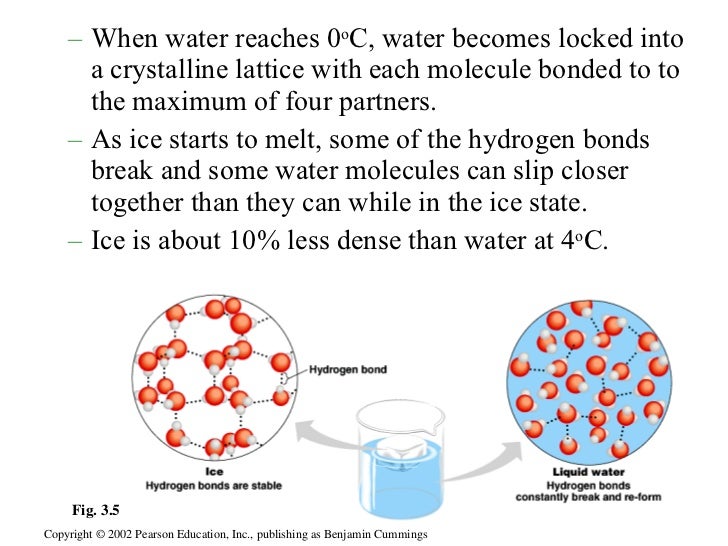 Properties of water