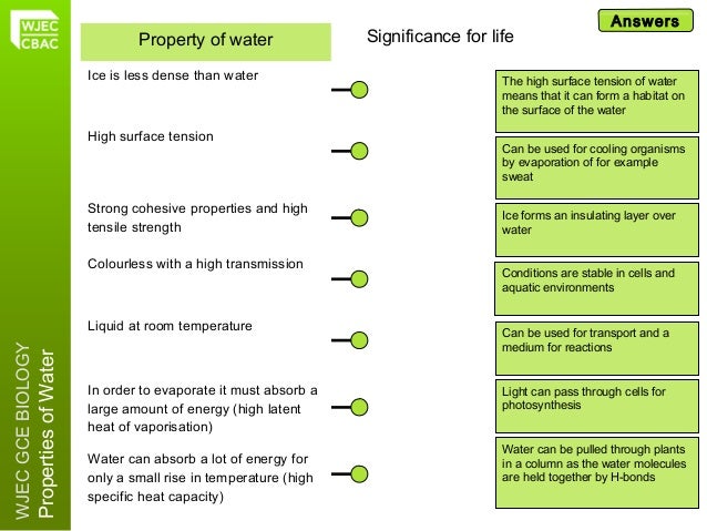 properties of water1 property of water