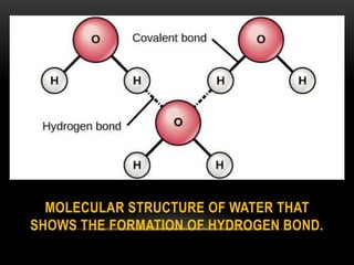 Properties of Water (Molecular Structure and Intermolecular pre ...