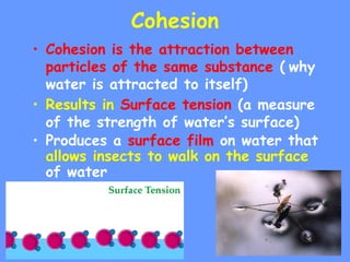Particle Cohesion Properties of water notes.ppt.pptx Properties of water notes.ppt.pptx