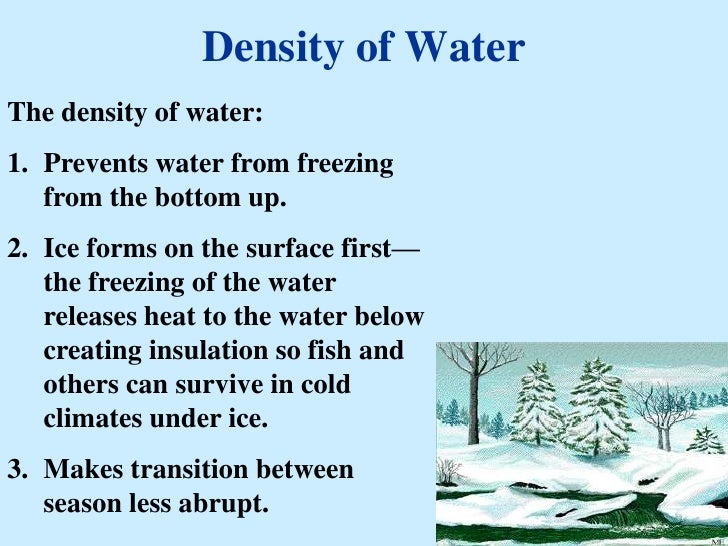 properties of water ppt property of water