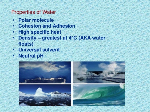 properties of water presentation property of water