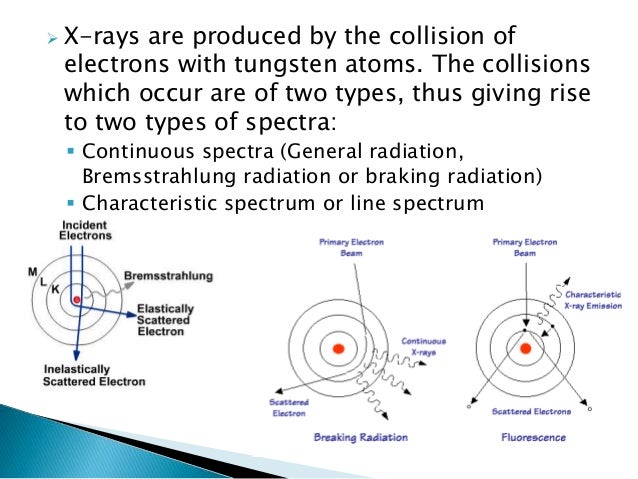  In the case of diagnostic X-ray beam there
are three X-ray mechanisms by which these
processes take place:
1. Coherent S...