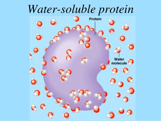 Which Molecule Would You Expect To Be More Soluble In Water? Properties water