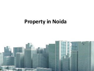 Property in Noida
 