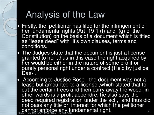 What Is A Tree Law Case? _ Tree Law is a Gnarly, Twisted Branch of the ...