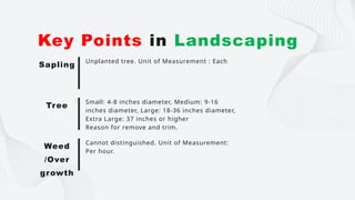 Unplanted tree. Unit of Measurement : Each
Key Points in Landscaping
Sapling
Small: 4-8 inches diameter, Medium: 9-16
inches diameter, Large: 18-36 inches diameter,
Extra Large: 37 inches or higher
Reason for remove and trim.
Tree
Cannot distinguished. Unit of Measurement:
Per hour.
Weed
/Over
growth
 