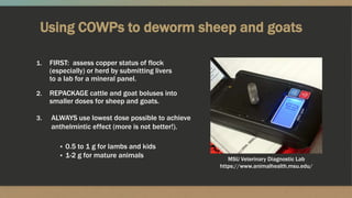 Using COWPs to deworm sheep and goats
1. FIRST: assess copper status of flock
(especially) or herd by submitting livers
to...