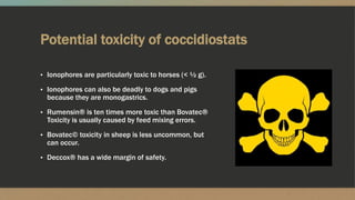 Potential toxicity of coccidiostats
▪ Ionophores are particularly toxic to horses (< ½ g).
▪ Ionophores can also be deadly...
