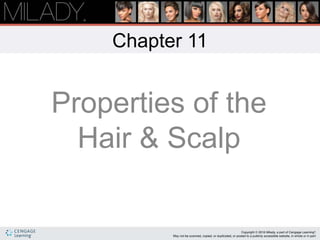Chapter 11
Properties of the
Hair & Scalp
 