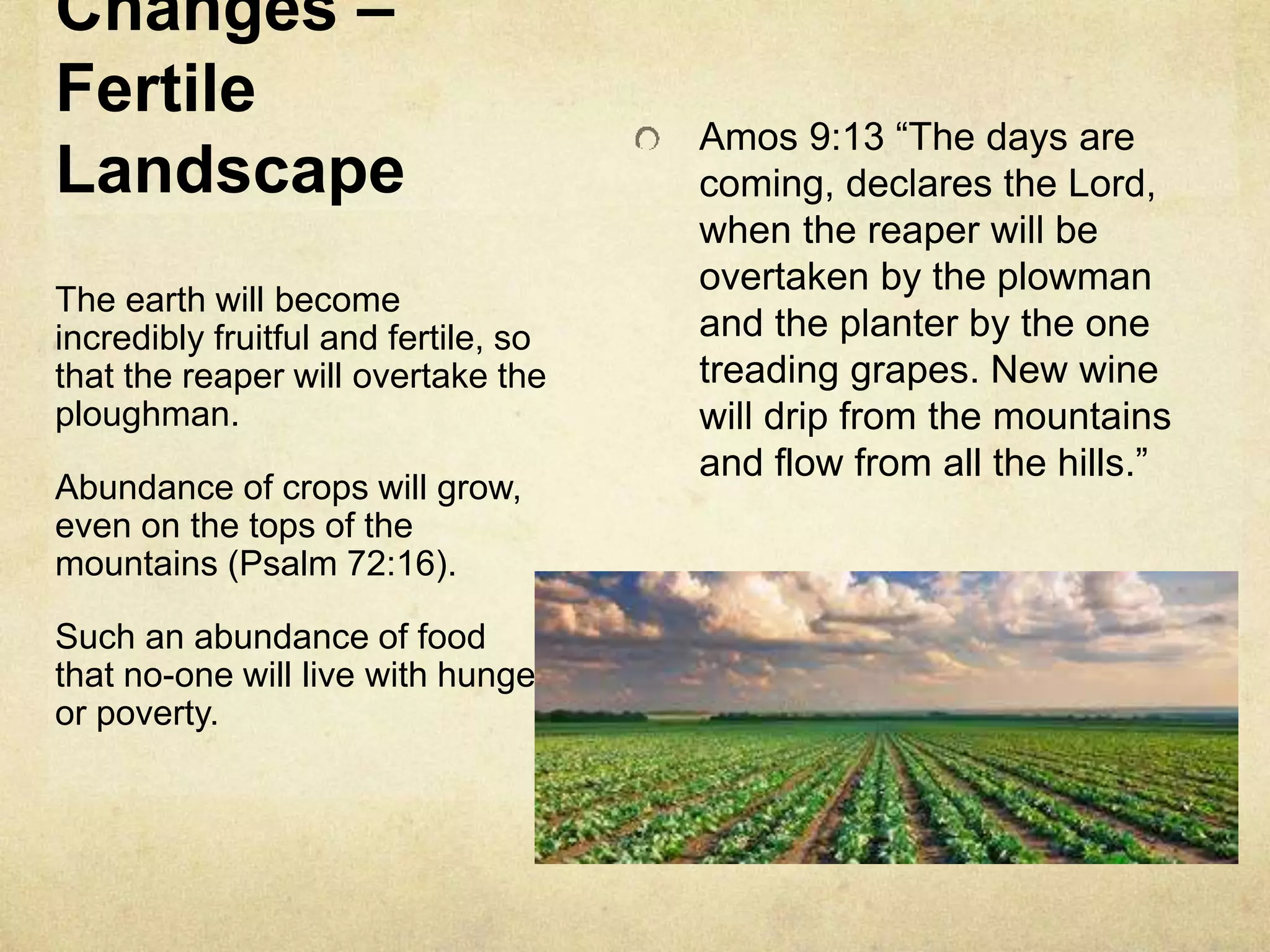 Changes –
Fertile
Landscape
Amos 9:13 “The days are
coming, declares the Lord,
when the reaper will be
overtaken by the plowman
and the planter by the one
treading grapes. New wine
will drip from the mountains
and flow from all the hills.”
The earth will become
incredibly fruitful and fertile, so
that the reaper will overtake the
ploughman.
Abundance of crops will grow,
even on the tops of the
mountains (Psalm 72:16).
Such an abundance of food
that no-one will live with hunger
or poverty.
 