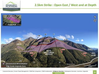 2.5km Strike : Open East / West and at Depth

Central Zone

Corporate Overview | Proven Project Management | PGM Peer Comparison | PGM Fundamentals | Wellgreen Overview | Shakespeare Overview | Summary | Appendix
Resource Area

20

 