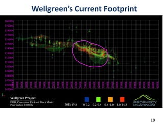 Wellgreen’s Current Footprint




                                19
                                 19
 