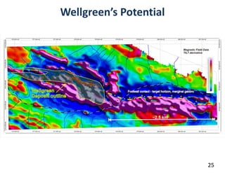 Wellgreen’s Potential




                        25
                         25
 