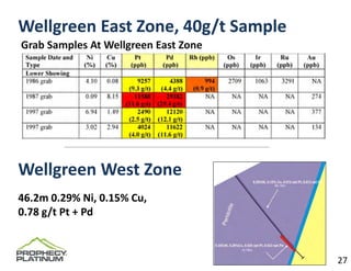 Wellgreen East Zone, 40g/t Sample
Grab Samples At Wellgreen East Zone




Wellgreen West Zone
46.2m 0.29% Ni, 0.15% Cu, 
0.78 g/t Pt + Pd



                                      27
 
