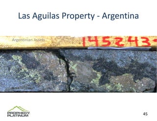 Las Aguilas Property ‐ Argentina

Argentinian Assets




                                      45
 