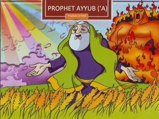 Prophets of Allah
PROPHET AYYUB (‘A)
 