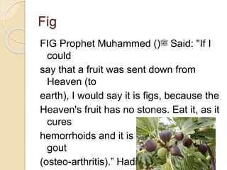 Fig
FIG Prophet Muhammed ()‫ﷺ‬ Said: "If I
could
say that a fruit was sent down from
Heaven (to
earth), I would say it is figs, because the
Heaven's fruit has no stones. Eat it, as it
cures
hemorrhoids and it is useful for treating
gout
(osteo-arthritis).” Hadith
 