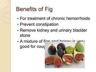 Benefits of Fig
 For treatment of chronic hemorrhoids
 Prevent constipation
 Remove kidney and urinary bladder
stone
 A mixture of figs and honey is very
good for coughs.
 