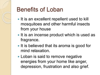 Benefits of Loban
 It is an excellent repellent used to kill
mosquitoes and other harmful insects
from your house
 It is an incense product which is used as
fragrance.
 It is believed that its aroma is good for
mind relaxation.
 Loban is said to remove negative
energies from your home like anger,
depression, frustration and also grief.
 
