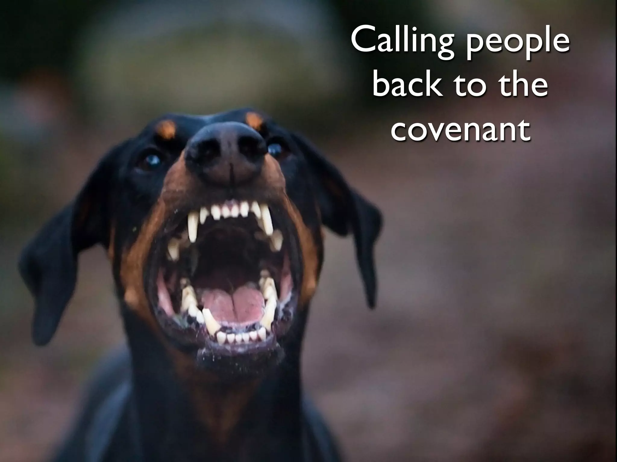 Calling people
 back to the
  covenant
 
