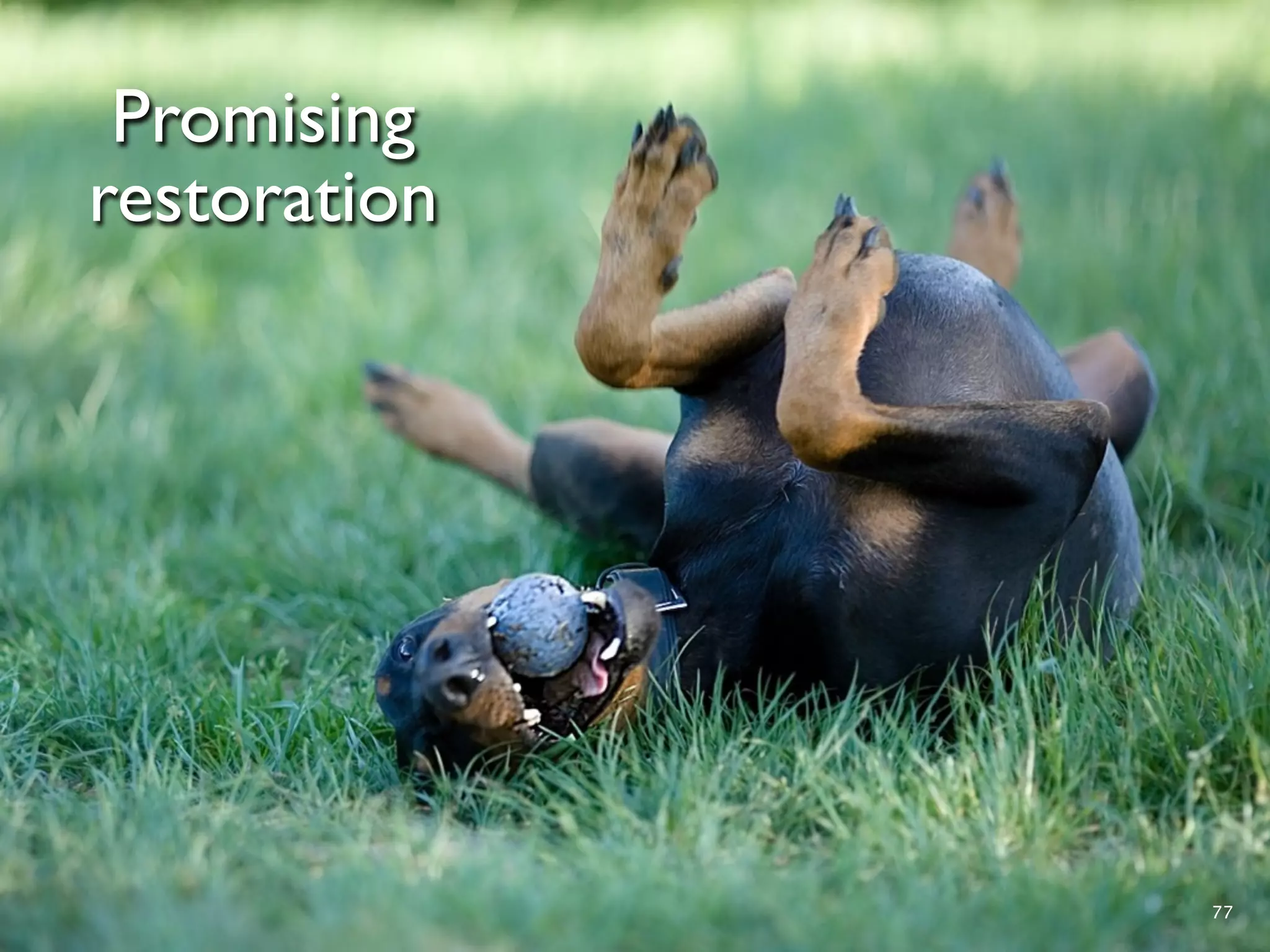 Promising
restoration




              77
 