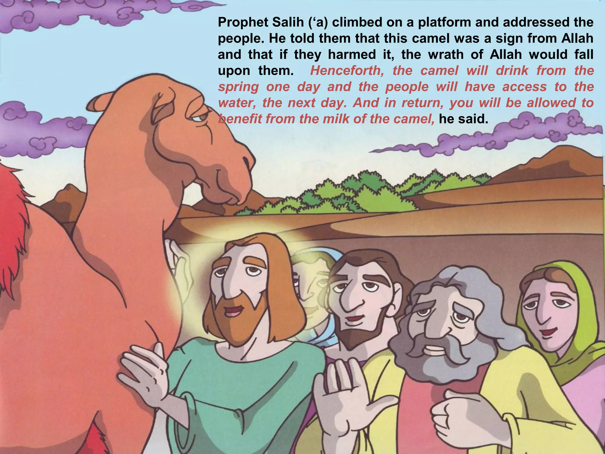 Prophet Salih (‘a) climbed on a platform and addressed the
people. He told them that this camel was a sign from Allah
and that if they harmed it, the wrath of Allah would fall
upon them. Henceforth, the camel will drink from the
spring one day and the people will have access to the
water, the next day. And in return, you will be allowed to
benefit from the milk of the camel, he said.
 