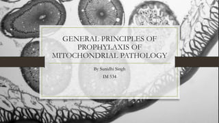 GENERAL PRINCIPLES OF
PROPHYLAXIS OF
MITOCHONDRIAL PATHOLOGY
By Sunidhi Singh
IM 534
 