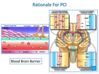 Rationale For PCI
Blood Brain Barrier
 