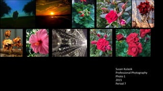 Susan Kulasik
Professional Photography
Photo 1
2015
Period 7
 