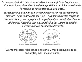 Es proceso dinámico que se desarrolla en la superficie de las partículas.
Como los iones absorvidos quedan en posición asimilable constituyen
la reserva de nutrientes para las plantas.
Las causas que originan el intercambio iónico son los desequilibrios
eléctricos de las partículas del suelo. Para neutralizar las cargas se
absorven iones, que se pegan a la superficie de las partículas. Quedan
débilmente retenidos sobre las partículas del suelo y se pueden
intercambiar con la solución del suelo.
Cuanto más superficie tenga el material y más desequilibrada se
encuentre, más iones se fijaran.
 