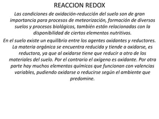 REACCION REDOX
Las condiciones de oxidación-reducción del suelo son de gran
importancia para procesos de meteorización, formación de diversos
suelos y procesos biológicos, también están relacionadas con la
disponibilidad de ciertos elementos nutritivos.
En el suelo existe un equilibrio entre los agentes oxidantes y reductores.
La materia orgánica se encuentra reducida y tiende a oxidarse, es
reductora, ya que al oxidarse tiene que reducir a otro de los
materiales del suelo. Por el contrario el oxígeno es oxidante. Por otra
parte hay muchos elementos químicos que funcionan con valencias
variables, pudiendo oxidarse o reducirse según el ambiente que
predomine.
 
