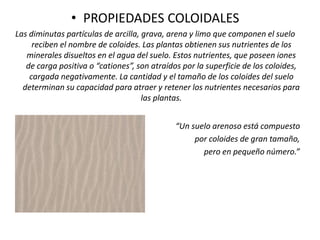 • PROPIEDADES COLOIDALES
Las diminutas partículas de arcilla, grava, arena y limo que componen el suelo
reciben el nombre de coloides. Las plantas obtienen sus nutrientes de los
minerales disueltos en el agua del suelo. Estos nutrientes, que poseen iones
de carga positiva o “cationes”, son atraídos por la superficie de los coloides,
cargada negativamente. La cantidad y el tamaño de los coloides del suelo
determinan su capacidad para atraer y retener los nutrientes necesarios para
las plantas.
“Un suelo arenoso está compuesto
por coloides de gran tamaño,
pero en pequeño número.”
 