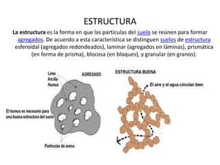 ESTRUCTURA
La estructura es la forma en que las partículas del suelo se reúnen para formar
agregados. De acuerdo a esta característica se distinguen suelos de estructura
esferoidal (agregados redondeados), laminar (agregados en láminas), prismática
(en forma de prisma), blocosa (en bloques), y granular (en granos).
 