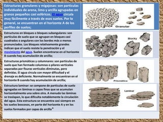 Estructuras granulares y migajosas: son partículas
individuales de arena, limo y arcilla agrupadas en
granos pequeños casi esféricos. El agua circula
muy fácilmente a través de esos suelos. Por lo
general, se encuentran en el horizonte A de los
perfiles de suelos;
Estructuras en bloques o bloques subangulares: son
partículas de suelo que se agrupan en bloques casi
cuadrados o angulares con los bordes más o menos
pronunciados. Los bloques relativamente grandes
indican que el suelo resiste la penetración y el
movimiento del agua. Suelen encontrarse en el horizonte
B cuando hay acumulación de arcilla;
Estructuras prismáticas y columnares: son partículas de
suelo que han formado columnas o pilares verticales
separados por fisuras verticales diminutas, pero
definidas. El agua circula con mayor dificultad y el
drenaje es deficiente. Normalmente se encuentran en el
horizonte B cuando hay acumulación de arcilla;
Estructura laminar: se compone de partículas de suelo
agregadas en láminas o capas finas que se acumulan
horizontalmente una sobre otra. A menudo las láminas
se traslapan, lo que dificulta notablemente la circulación
del agua. Esta estructura se encuentra casi siempre en
los suelos boscosos, en parte del horizonte A y en los
suelos formados por capas de arcilla*
 